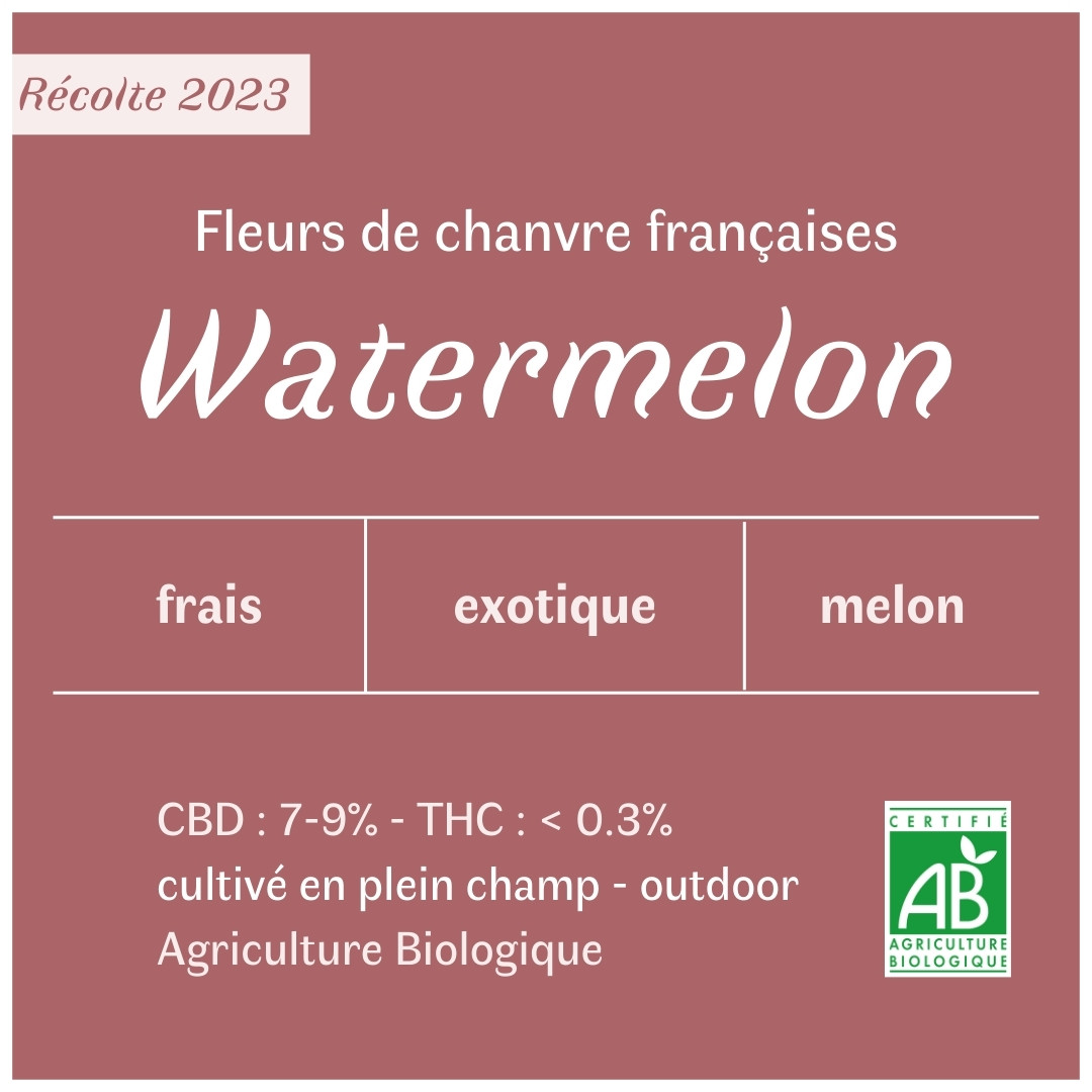 Fleurs De CBD BIO Watermelon Les Plantes De Tomine