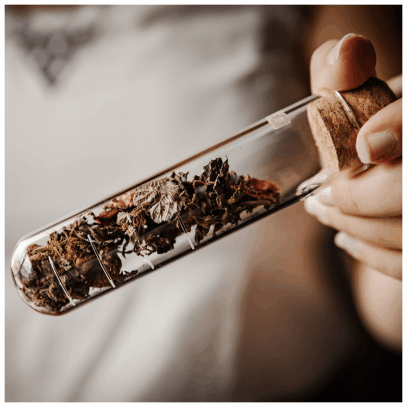Infuseur en verre avec infusion CBD Cassie les Plantes de Tomine
