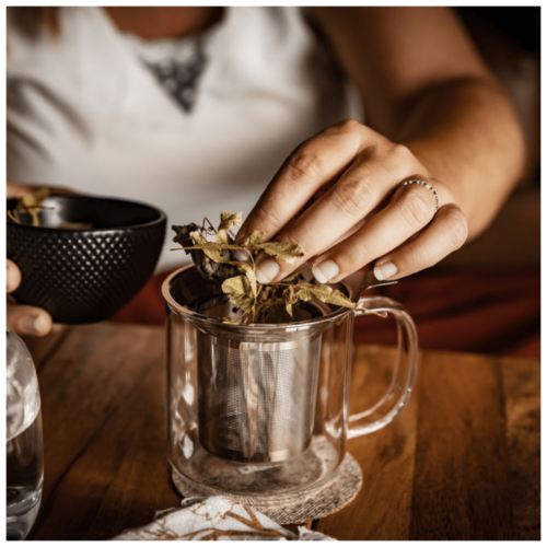 Mug en verre transparent et infusion cbd pour dormir les plantes de tomine