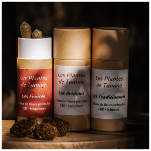 Joints CBD pre-roules Les plantes de tomine