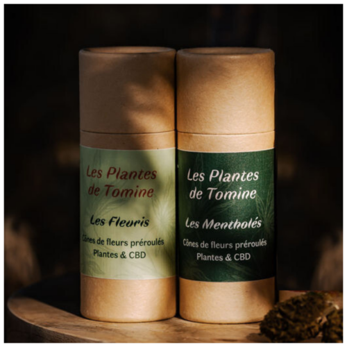 Joint CBD sans tabac Les plantes de Tomine