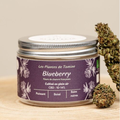 Fleurs de CBD BIO - Blueberry - small buds