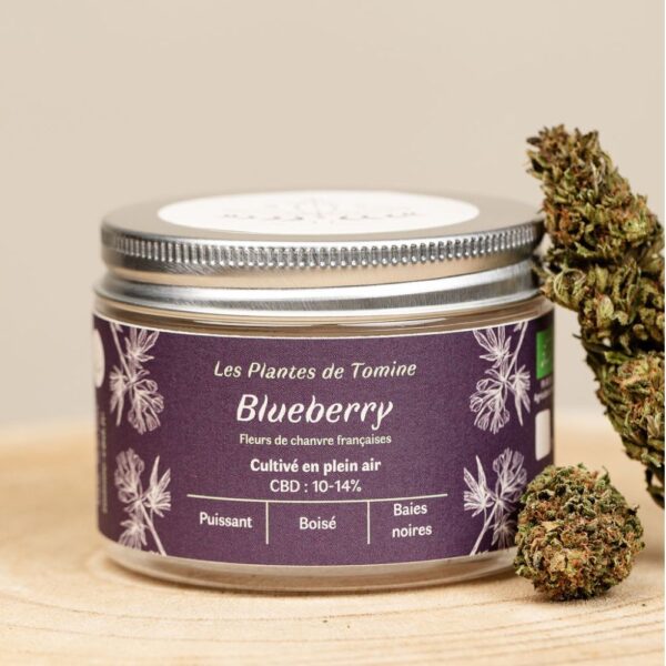 Fleurs de CBD BIO - Blueberry - small buds