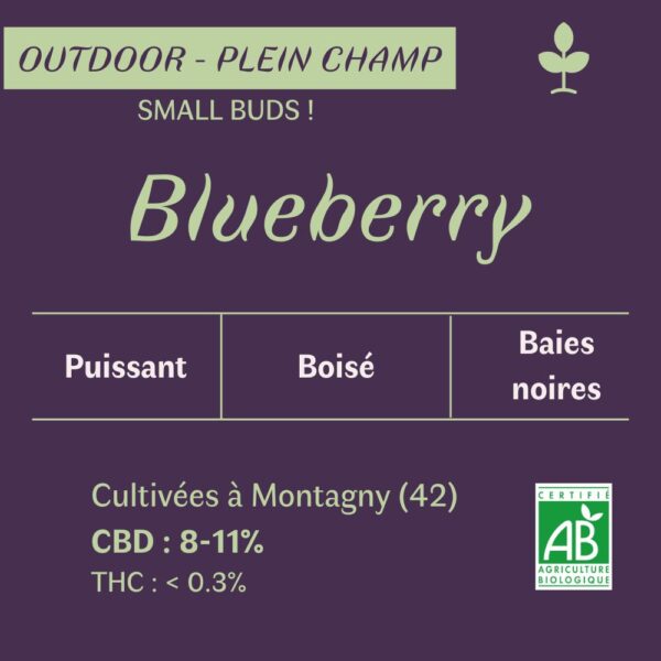 Fleurs de CBD BIO - Blueberry - small buds – Image 2