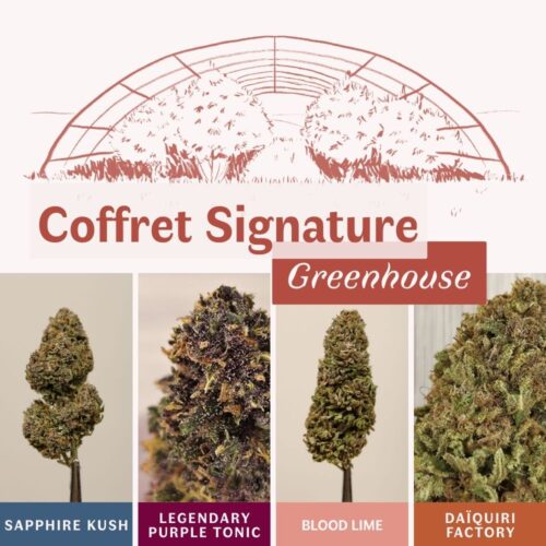 Coffret Signature - découverte 4 fleurs CBD greenhouse