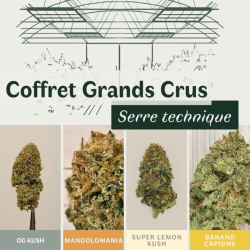 Coffret Grands Crus - 4 fleurs CBD indoor