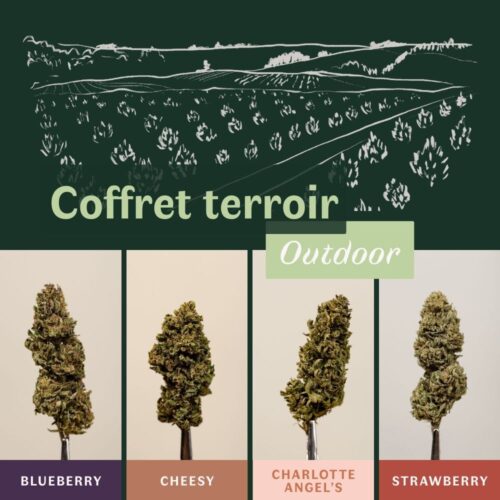 Coffret terroir - découverte 4 fleurs CBD outdoor