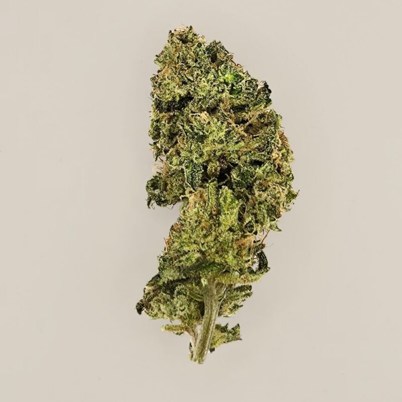Banano Capione CBD BIO indoor