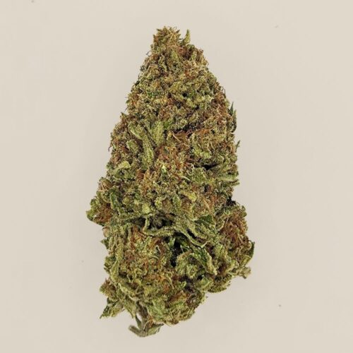 Daiquiri Factory CBD BIO greenhouse