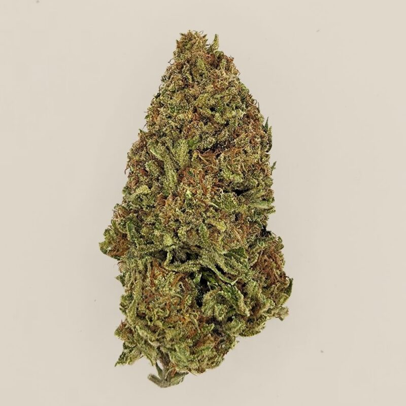 Daiquiri Factory CBD BIO greenhouse