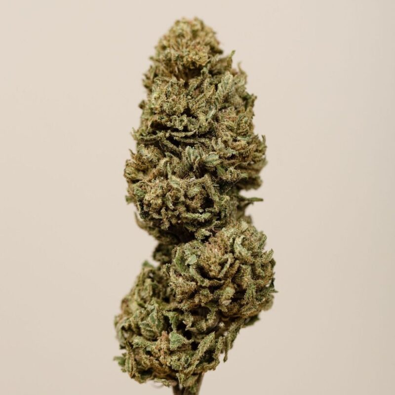 Strawberry CBD BIO