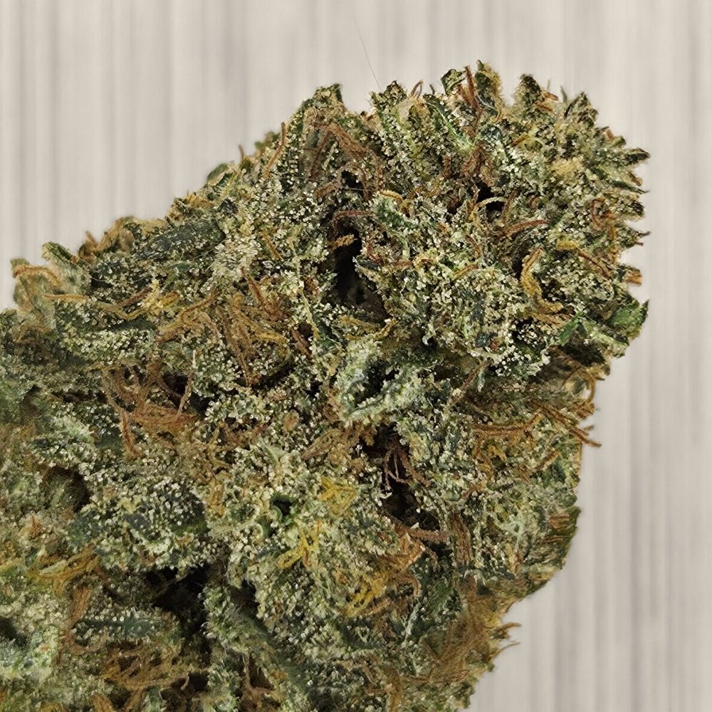 Super Lemon Kush CBD BIO indoor – Image 2
