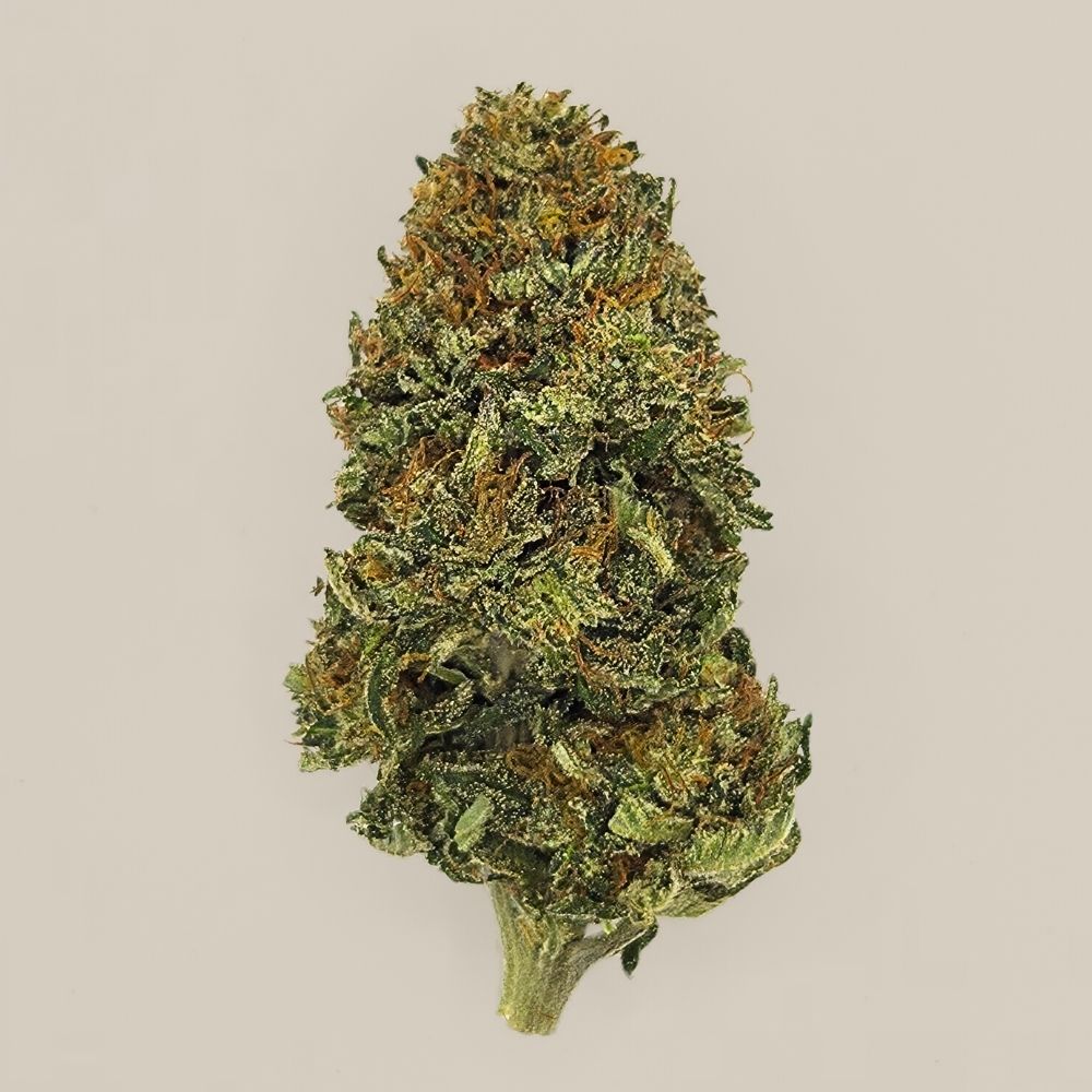 Super Lemon Kush CBD BIO indoor