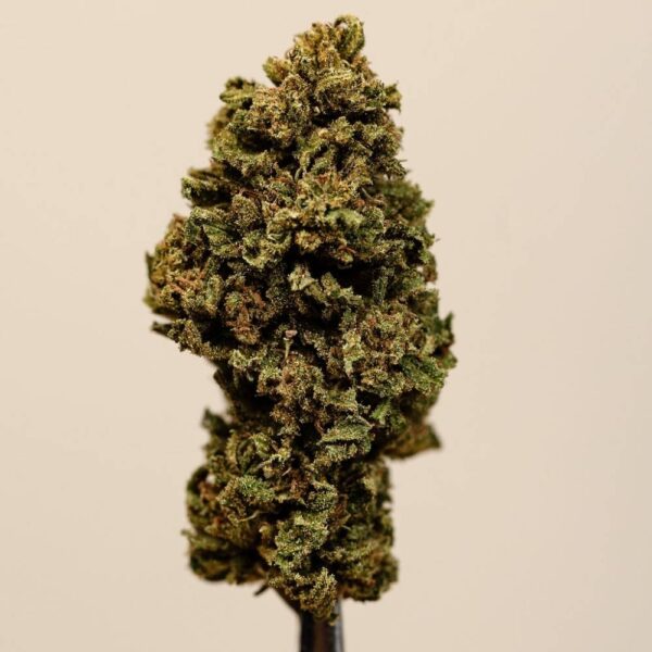 Cannatonic CBD BIO – Image 4