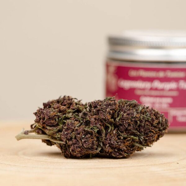 Legendary Purple Tonic CBD BIO greenhouse – Image 3