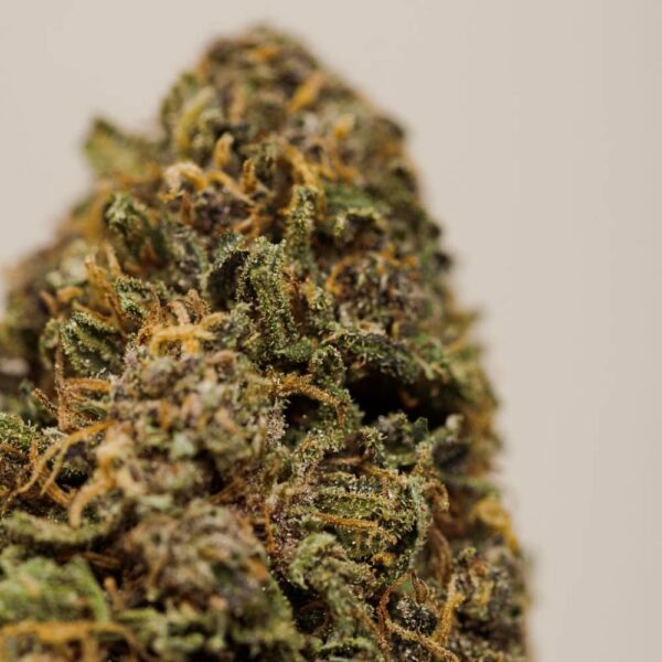 Sapphire Kush CBD BIO indoor – Image 5