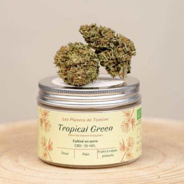 Tropical Green CBD BIO greenhouse