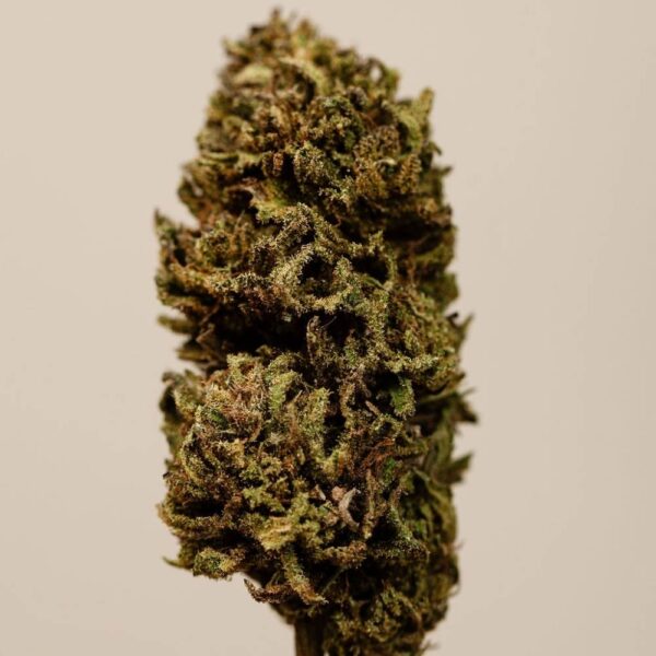 Lemonade CBD BIO – Image 4