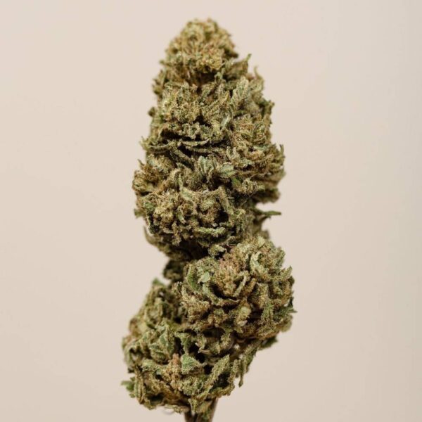 Strawberry CBD BIO – Image 4