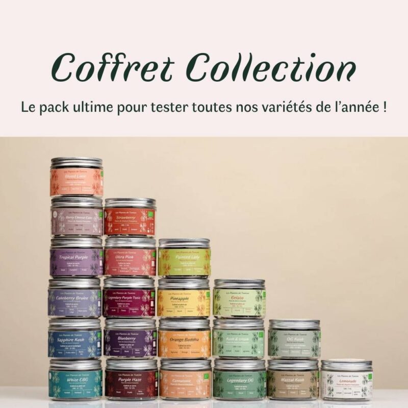 Coffret Collection - Pack Complet fleurs CBD