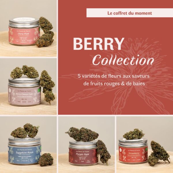 Coffret Berry Collection - Fleurs CBD