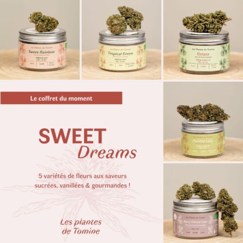Coffret CBD des Plantes de Tomine pour découvrir 5 fleurs aux goûts sucrés et vanillés.