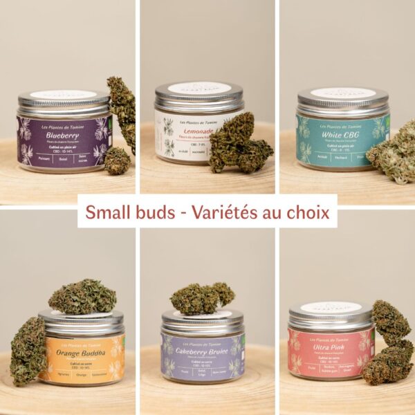 Fleurs de CBD BIO - small buds – Image 2