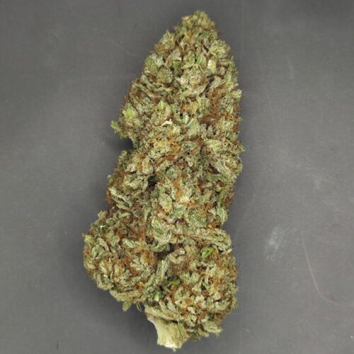 Fleurs de CBD Allium OG culture bio Light Dep par les Plantes de Tomine zoom