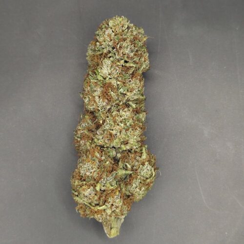 Fleurs de CBD Angel Cake culture bio Light Dep par les Plantes de Tomine zoom