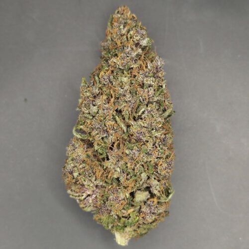Fleurs de CBD Blue Meringue Diesel culture bio Light Dep par les Plantes de Tomine zoom
