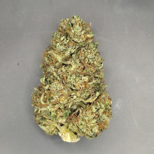 Fleurs de CBD Goat Butter culture bio Light Dep par les Plantes de Tomine zoom