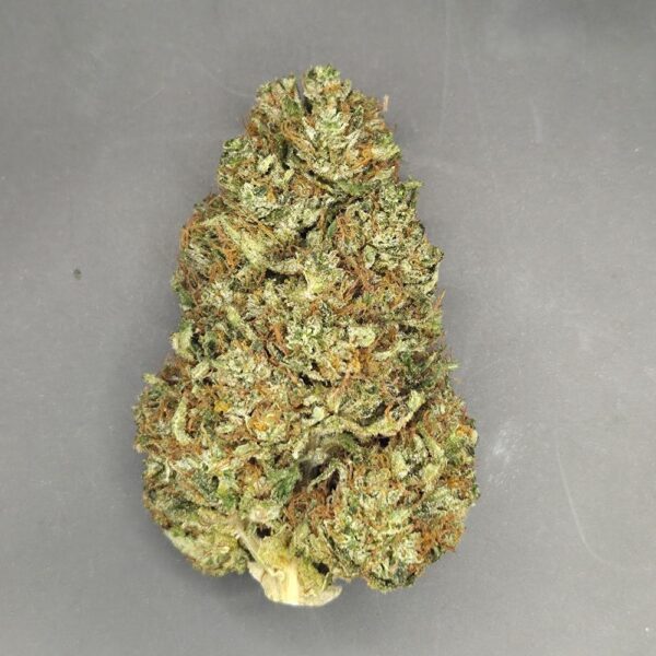 Fleurs de CBD Goat Butter culture bio Light Dep par les Plantes de Tomine zoom