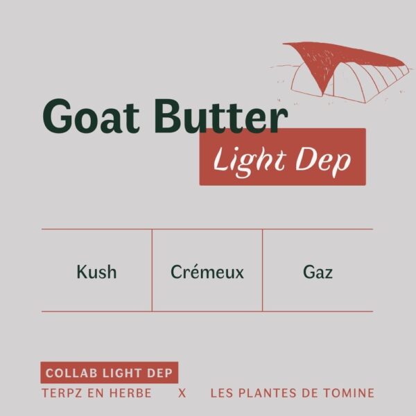 Fleurs CBD Goat Butter quel goût ? Culture Light Dep par Les Plantes de Tomine