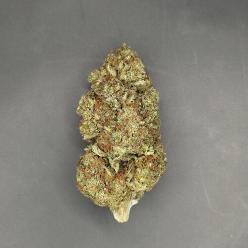 Fleurs de CBD Godfather OG culture bio Light Dep par les Plantes de Tomine zoom