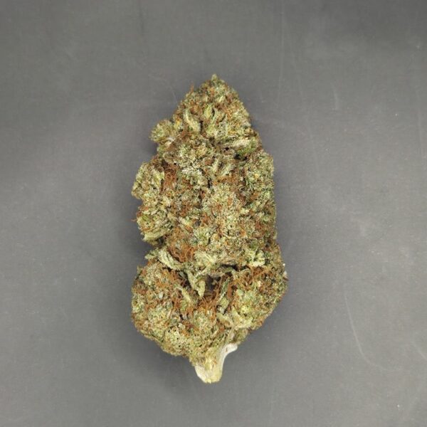 Fleurs de CBD Godfather OG culture bio Light Dep par les Plantes de Tomine zoom