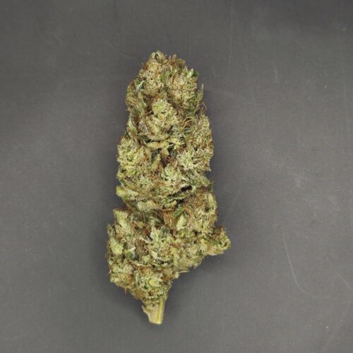 Fleurs de CBD Lementos culture bio Light Dep par les Plantes de Tomine zoom
