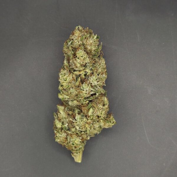 Fleurs de CBD Lementos culture bio Light Dep par les Plantes de Tomine zoom