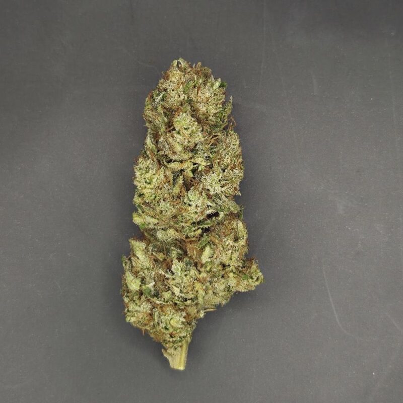 Fleurs de CBD Lementos culture bio Light Dep par les Plantes de Tomine zoom
