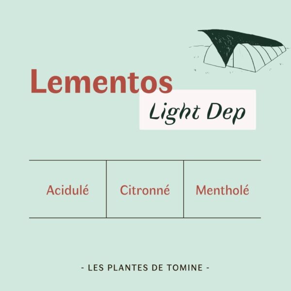 Fleurs CBD Lementos quel goût ? Culture Light Dep par Les Plantes de Tomine