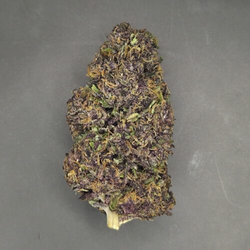 Fleurs de CBD Plookies culture bio Light Dep par les Plantes de Tomine zoom
