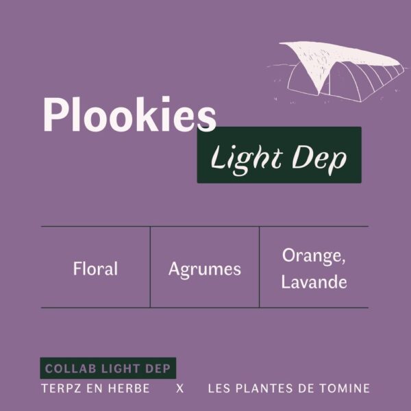 Fleurs CBD Plookies quel goût ? Culture Light Dep par Les Plantes de Tomine
