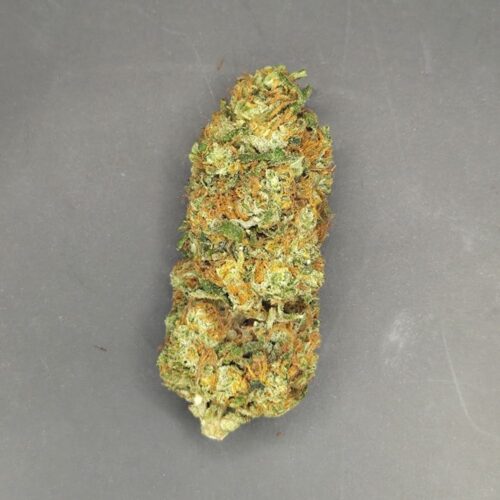 Fleurs de CBD Rocket Sauce culture bio Light Dep par les Plantes de Tomine zoom