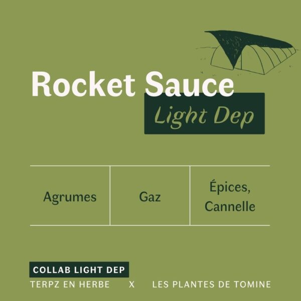 Fleurs CBD Rocket Sauce quel goût ? Culture Light Dep par Les Plantes de Tomine