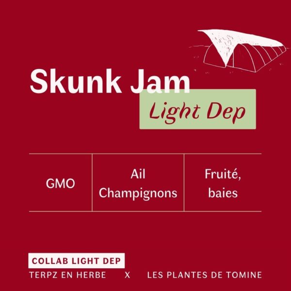 Fleurs CBD Skunk Jam quel goût ? Culture Light Dep par Les Plantes de Tomine