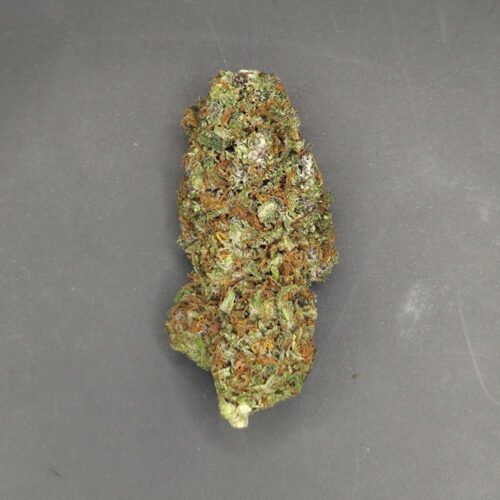 Fleurs de CBD Skunk Jam culture bio Light Dep par les Plantes de Tomine zoom