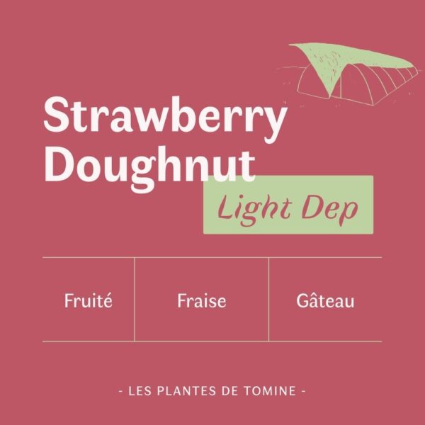 Fleurs CBD Strawberry Doughnut quel goût ? Culture Light Dep par Les Plantes de Tomine