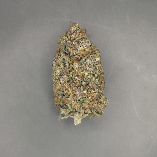Fleurs de CBD Yak Pudding culture bio Light Dep par les Plantes de Tomine zoom