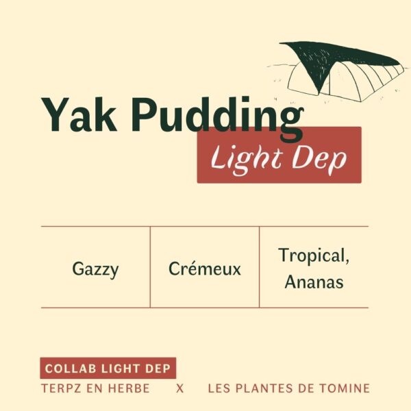 Fleurs CBD Yak Pudding quel goût ? Culture Light Dep par Les Plantes de Tomine