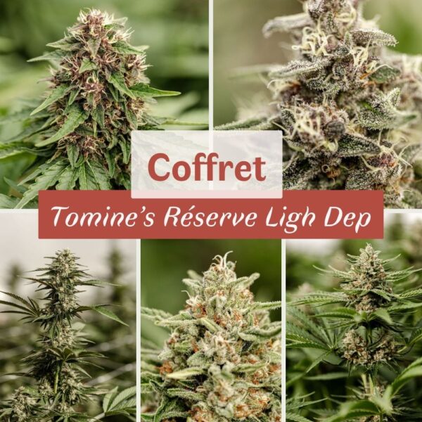 Coffret CBD Tomine's Réserve Light Dep – Image 2