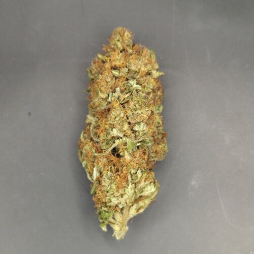 Fleurs de CBD Golden Orient culture bio Light Dep par les Plantes de Tomine zoom